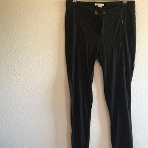 Vince || Zip Pocket Ponte Riding Pant Size 4